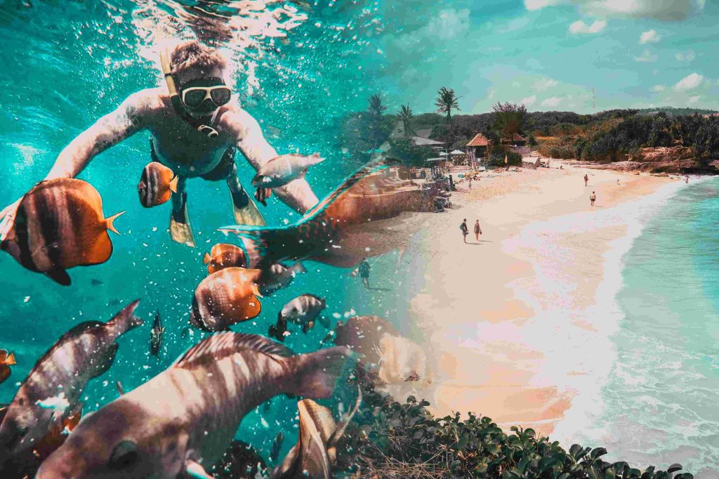 Diving and Snorkeling in Nusa Penida